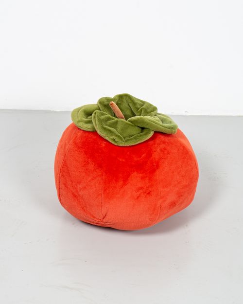 Perna decorativa rosie