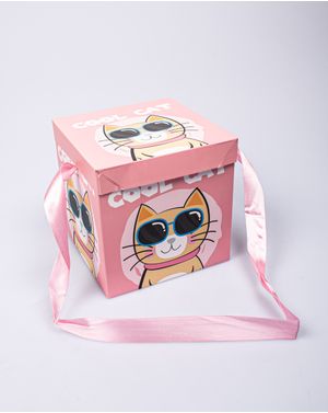 Cutie de cadou Cool Cat