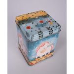 M3596501029-CUTIE---CASA-GRADINA-SI-MASINA