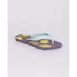 24EPF06004-SLAPI---DAMA