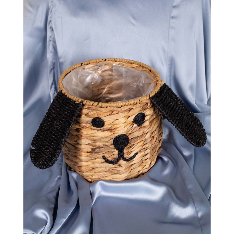 M4096701007-COS---CASA-GRADINA-SI-MASINA