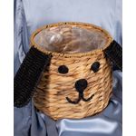 M4096701007-COS---CASA-GRADINA-SI-MASINA