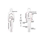 w_size_guide