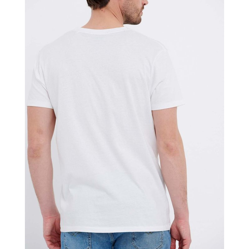 25ALX01049-TRICOU---TRICOURI