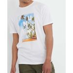25ALX01248-TRICOU---TRICOURI