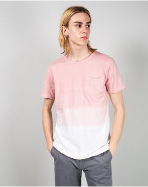 Tricou Koala Bay din bumbac 25TFT02137