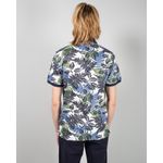 25TFT02293-TRICOU---TRICOURI