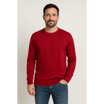 Bluza-din-bumbac-cu-maneca-lunga-N240617009
