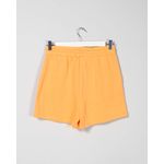 PANTALONI-SCURTI-PENTRU-FEMEI-24SDP01039