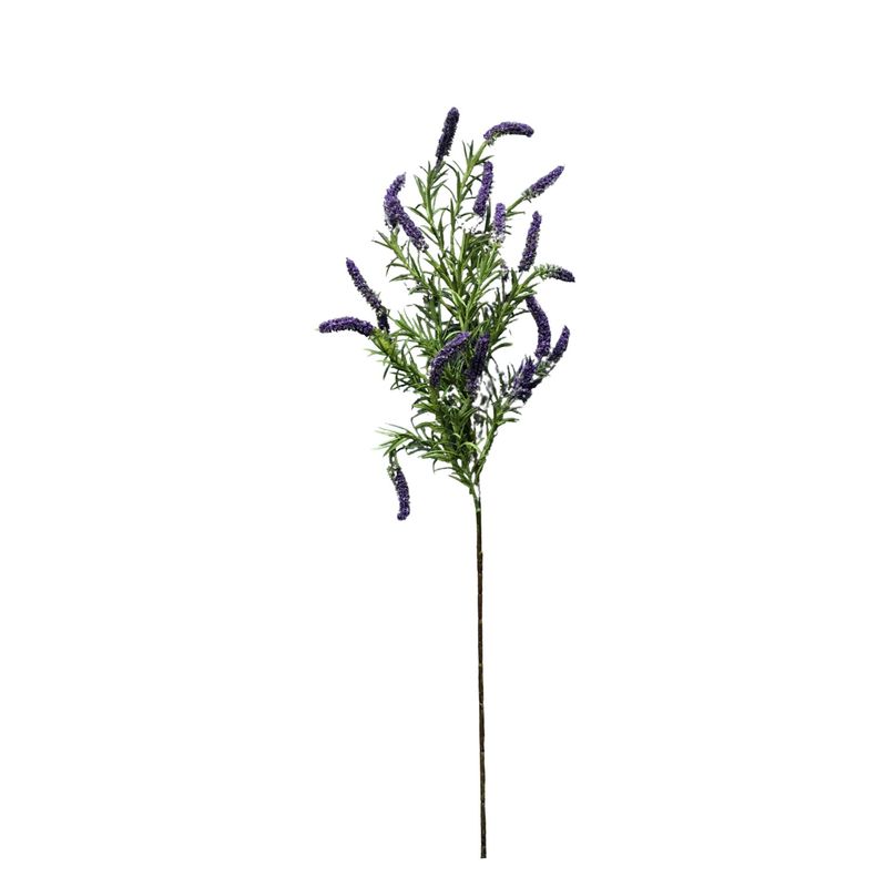 M42A0101001