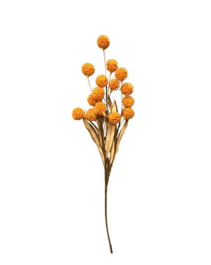 Ramură artificială cu pom-poms florali – pentru decoruri îndrăznețe M42A0103002