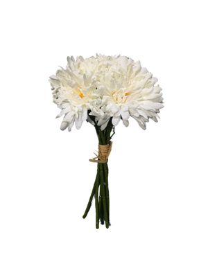 Crizanteme decorative albe – rafinament și simplitate în fiecare floare M42A0107003