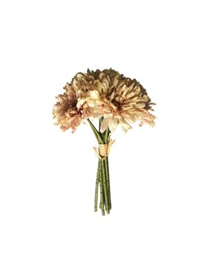 Crizanteme decorative bej-pudrat – rafinament atemporal M42A0107002