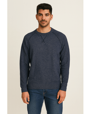 Pulover bărbătesc din 100% bumbac 25LGD04004