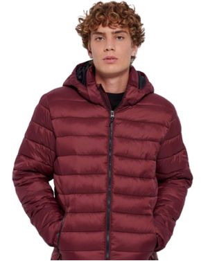 Geacă bărbați bordo matlasată cu glugă 25ALX09026