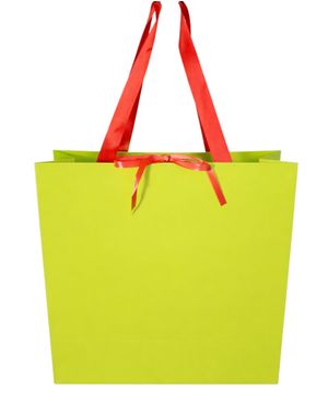 Pungă cadou verde cu mânere textile 25TAI17006