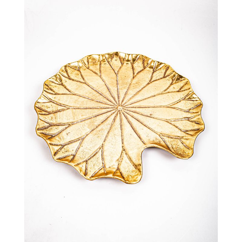 M6877802008-DECORATIUNI-INTERIOARE---CASA-GRADINA-SI-MASINA