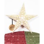 M4870243003-DECORATIUNI-DE-CRACIUN---CASA-GRADINA-SI-MASINA